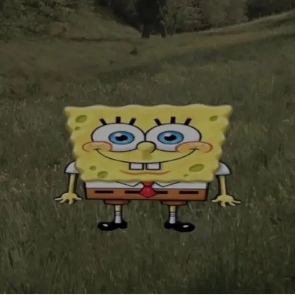 Meet your Posher, Sylvia - Picture 1 of 1